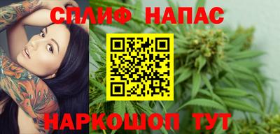 гидра Партизанск