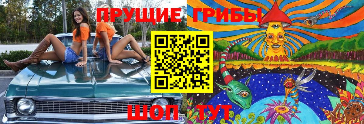 Галлюциногенные грибы Psilocybine cubensis  Вход с VPN  Свободный  Псилоцибиновые грибы мухоморы 